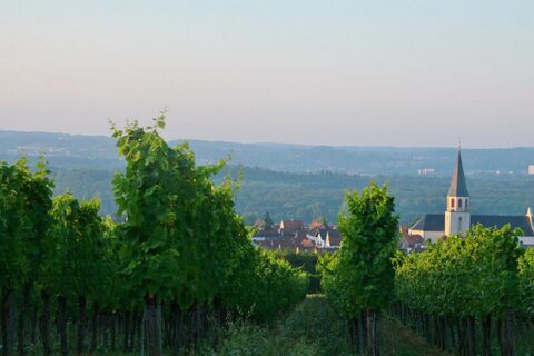 Blick vom Letzenberg nach Malsch