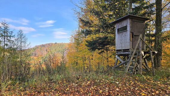 Um den Großen Hollerberg herum