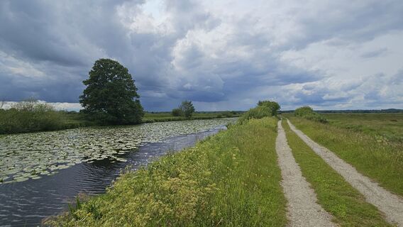 Photo de Michael Lüerssen le long du parcours