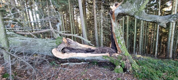 Foto von Gabi G entlang der Tour