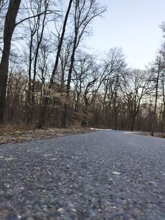Fotografija s spletne strani Péter Szabó na poti