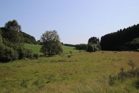 Foto von Günter Kleutsch entlang der Tour
