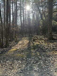 Fotografie z RS76 na trase