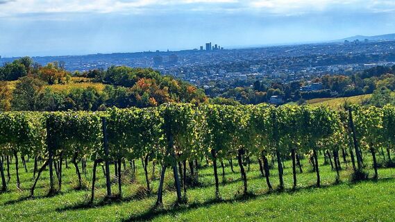 Foto da Regina Fleischmann lungo il tour