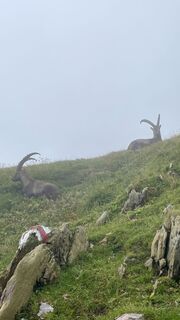 Photo de Dani :) le long du parcours