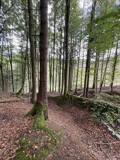 Foto von Marina I entlang der Tour