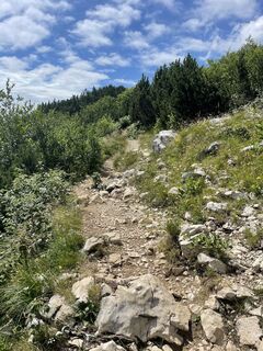 Foto de Wolfgang Thomaschitz a lo largo del recorrido