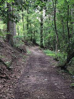 Foto von Edith K. entlang der Tour