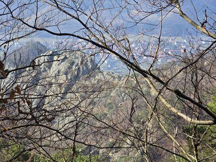 Fotografija s spletne strani Martina Gerneck na poti