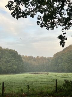 Foto von Marleen Blomsma entlang der Tour