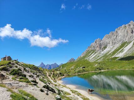 Fotografie z Gianni Varutti na trase