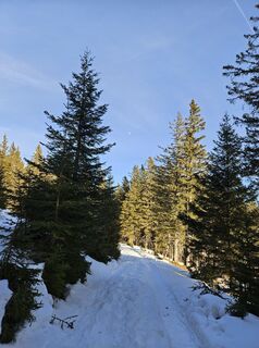 Foto von Ingrid H entlang der Tour