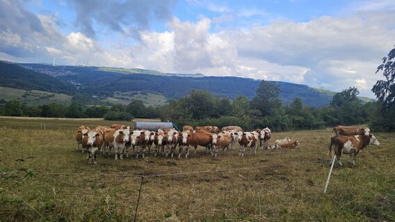 Photo de Boba Weishaar le long du parcours