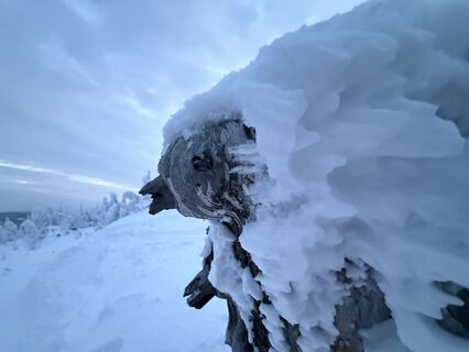 Fotografija s spletne strani Natur_erleben_dg na poti