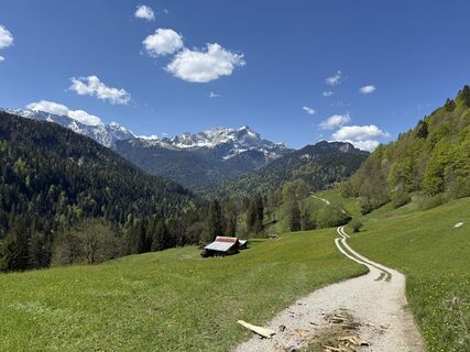 Zdjęcie z Similaun wzdłuż trasy