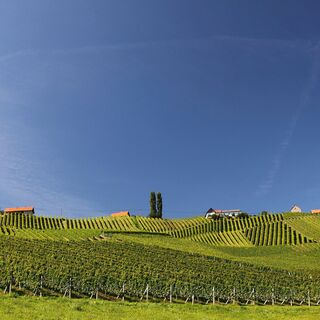 Sommerstimmung im Naturpark Südsteiermark