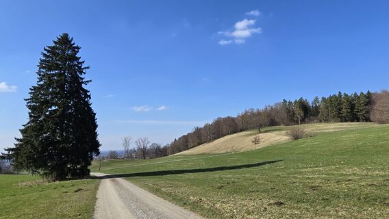 Foto von Katja Senkel entlang der Tour