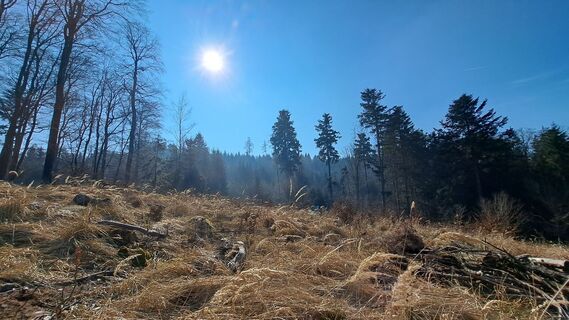 Photo de Anita Lunzer 1 le long du parcours