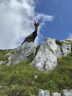 Foto von Hannes Gelter entlang der Tour