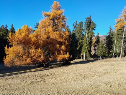 Fotografija s spletne strani ellenri na poti