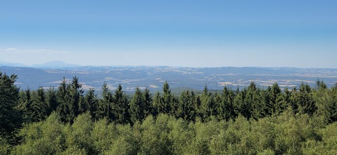 Photo de Matthi le long du parcours