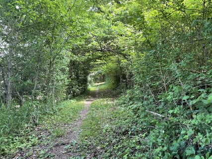 Photo de Gerald le long du parcours