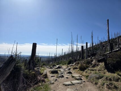 Foto de Noreen (NoKe) a lo largo del recorrido