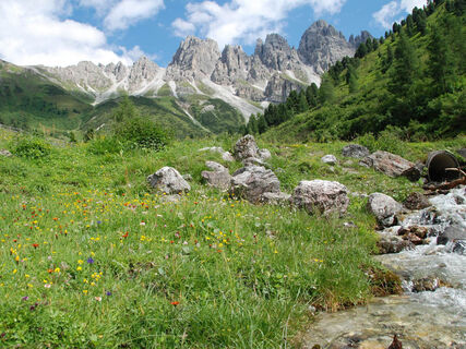 Senderstal-Heidi 1024x768.jpg