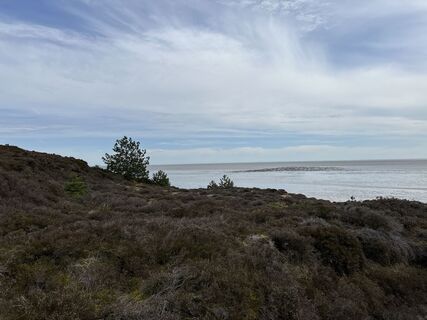 Foto von vowinter entlang der Tour