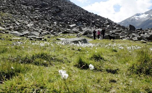 Wandern in Vent