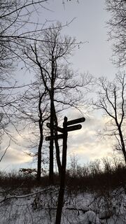 Foto de Kosikheni a lo largo del recorrido