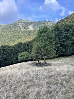 Foto von Samuel entlang der Tour