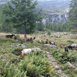 Im Hintergrund die Wasserfälle des Rio Pontat