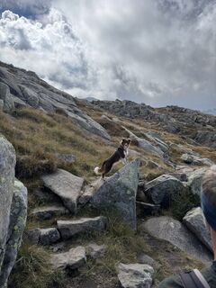 Foto von Antonia Dangl entlang der Tour