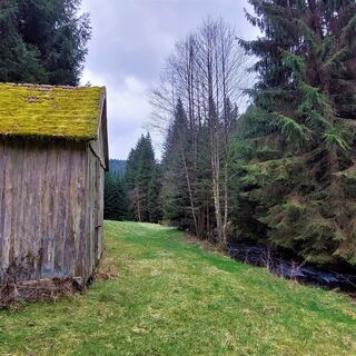 An der Hochdorfer Sägemühle