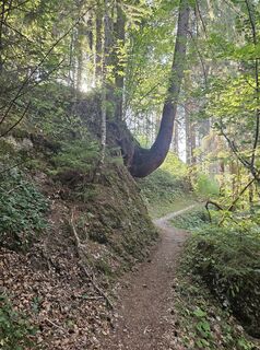Foto von Martina entlang der Tour