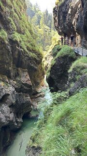 Kuva osoitteesta Willy 11 matkan varrella