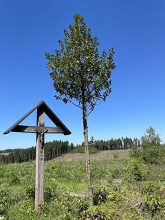Foto fra Sanca underveis på turen