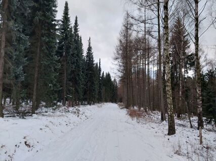 Foto de Jens Gebauer a lo largo del recorrido
