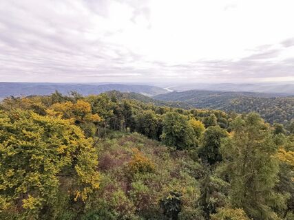 Fotografia z Stephan Nessl na trase