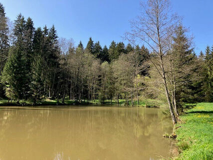 Wanderung in der Natur