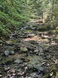 Fotografia z Gunnar Widhalm na trase