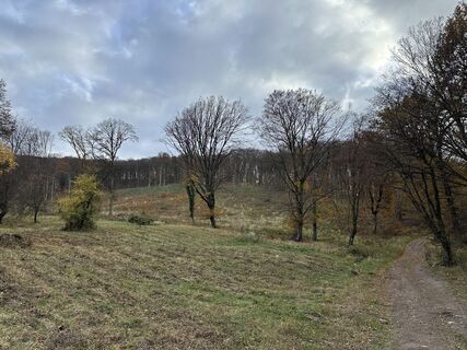 Fotografie z Zsolt Pelvay na trase