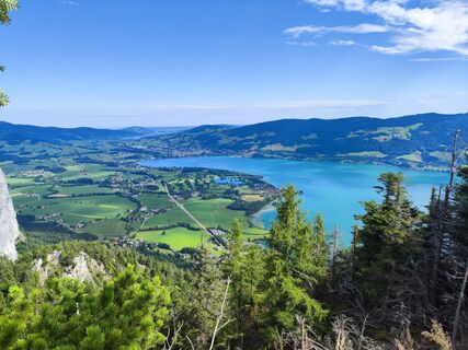 Fotografia z Auer Robert na trase