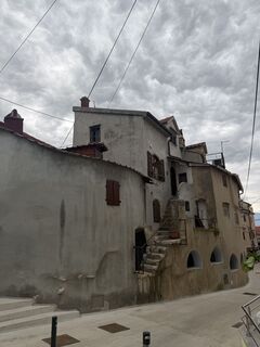 Photo de graufox le long du parcours