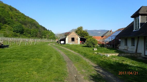 von Rossatz nach St. Lorenz