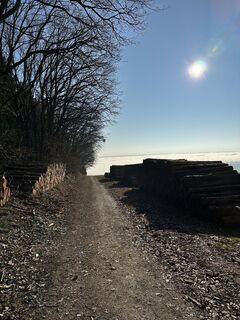 Foto da Andreas Mader lungo il tour