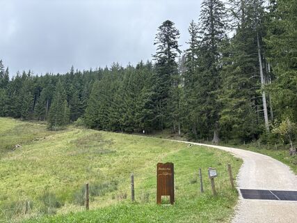 Anger_Stoisseralm