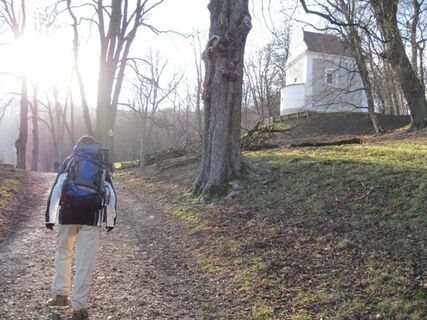 Im Lainzer Tiergarten