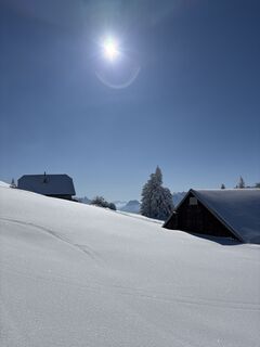 Фото с сайта Heinz Sperl во время экскурсии